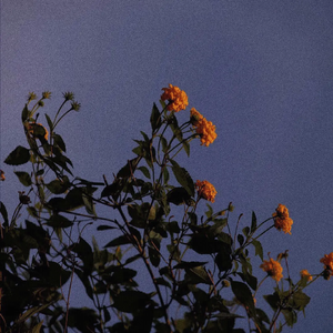 日韩精品视频网站
